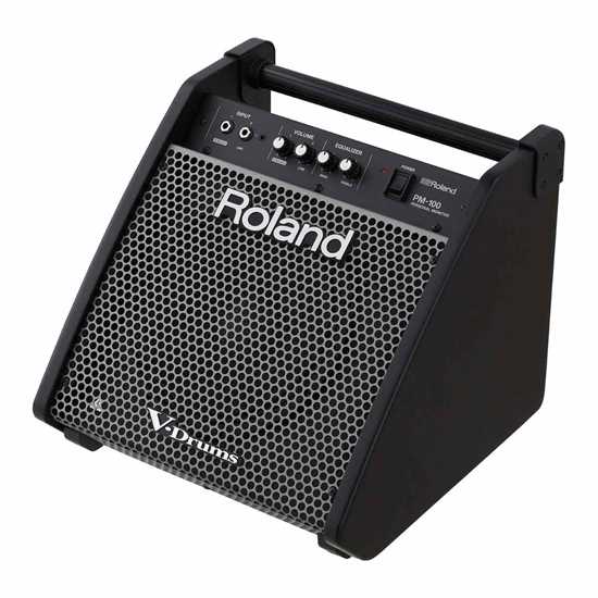 Roland Monitor PM-100