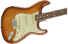 Fender American Performer Stratocaster® Rosewwod Fingerboard Honey Burst