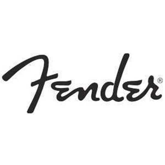 Vanliga Tillbehör till Fender Stålsträngad
