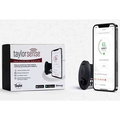 Taylor Sense Guitar Health Monitoring System