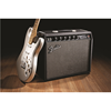 Fender ’65 Princeton® Reverb